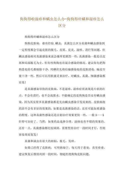 狗狗得啦湿疹和螨虫怎么办-狗狗得疥螨和湿疹怎么区分