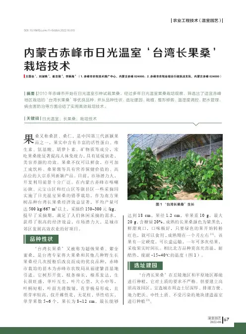内蒙古赤峰市日光温室‘台湾长果桑’栽培技术