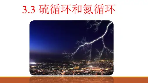 33硫循环和氮循环(件)