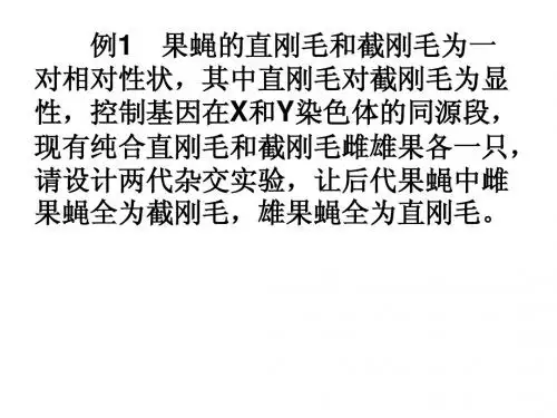 伴性遗传复习课(一轮复习精品课件)