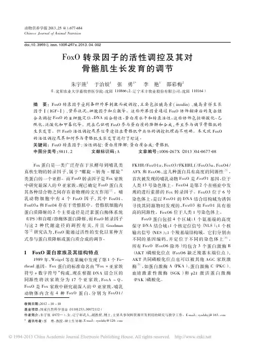 FoxO转录因子的活性调控及其对骨骼肌生长发育的调节_朱宇旌