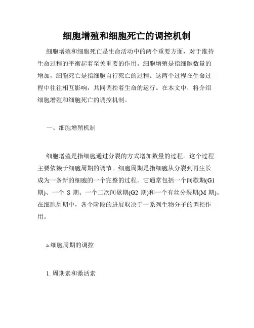 细胞增殖和细胞死亡的调控机制
