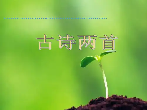 语文古诗两首草宿新市徐公店