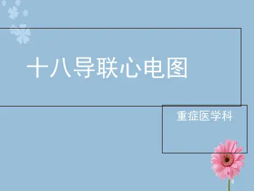 十八导联心电图(课堂PPT)【18页】