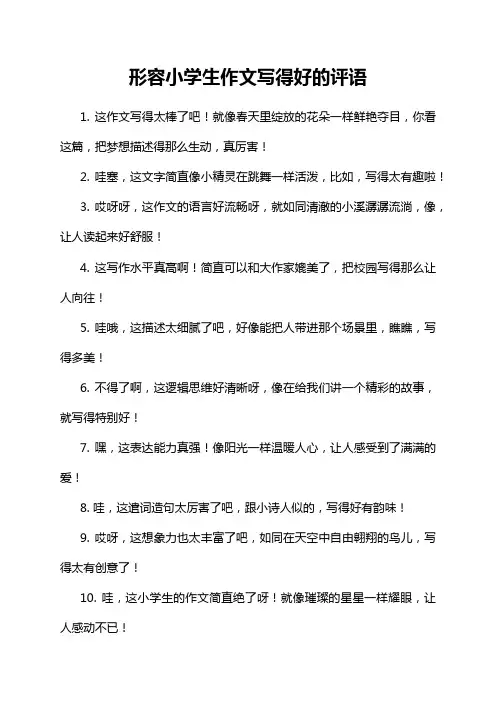 形容小学生作文写得好的评语