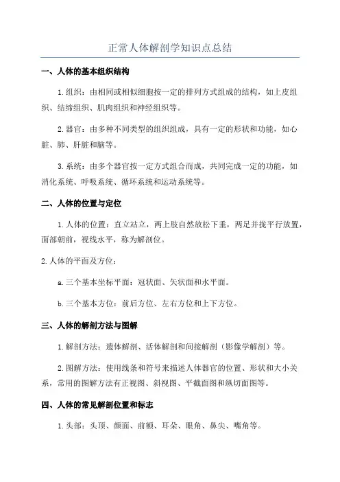 正常人体解剖学知识点总结