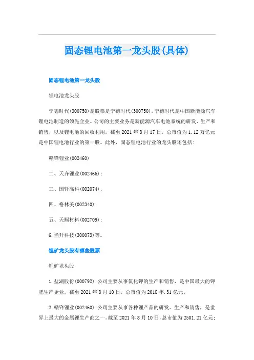 固态锂电池第一龙头股(具体)