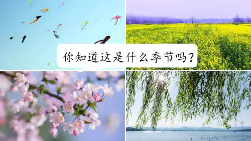 二年级下册《古诗二首》(村居)(咏柳)课件