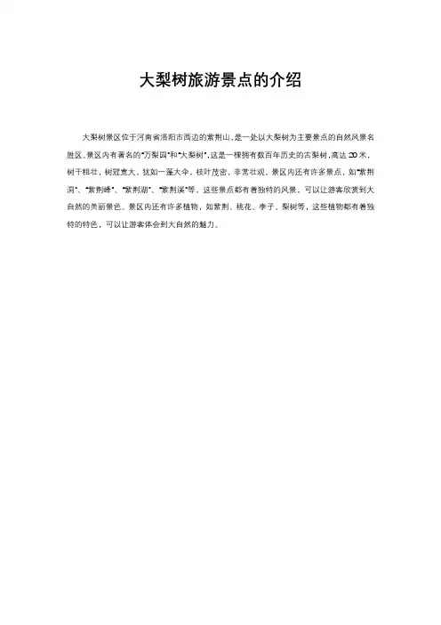 大梨树旅游景点的介绍