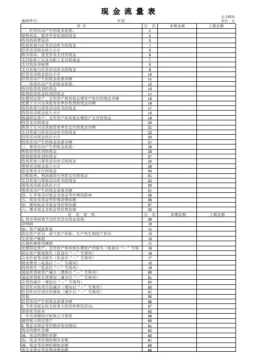 2007版会计报表1