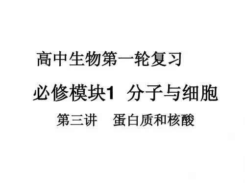 人教版教学课件生物一轮复习蛋白质课件