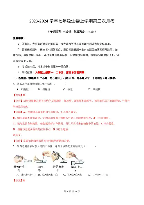 七年级生物第三次月考(全国通用)2024-2025学年七年级生物上学期第三次月考