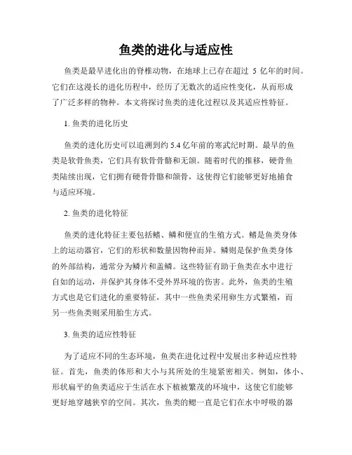 鱼类的进化与适应性