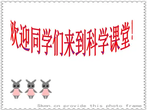 磁铁有磁性-国家级示范课-ppt