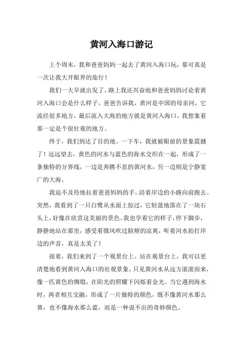 黄河入海口游记