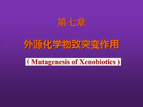 第七章外源化学物致突变作用