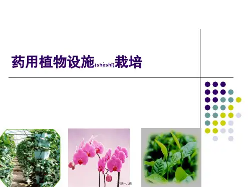 设施栽培--绪论