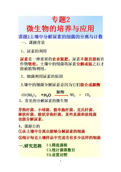高三生物选修一讲课文稿4