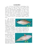 长江里的江鲜简介