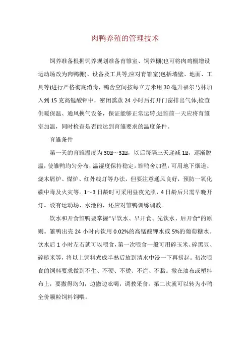 肉鸭养殖的管理技术