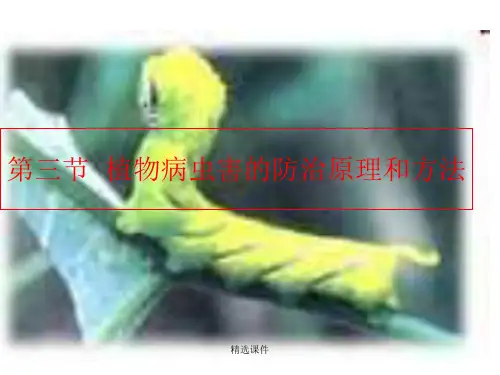 植物病虫害地防治原理和方法演示课件.ppt