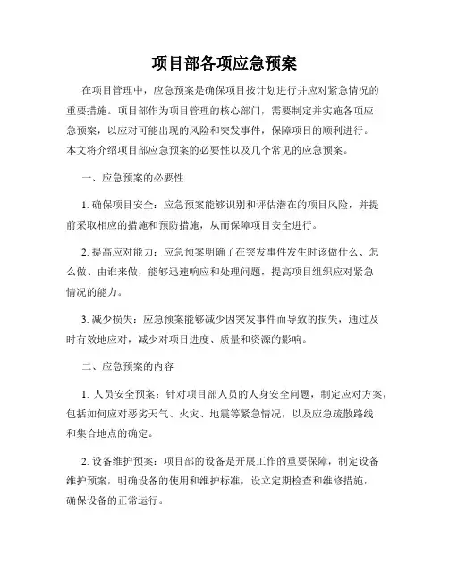 项目部各项应急预案