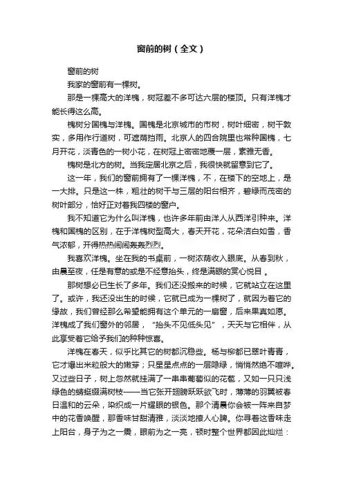 窗前的树(全文)