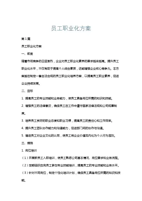 员工职业化方案