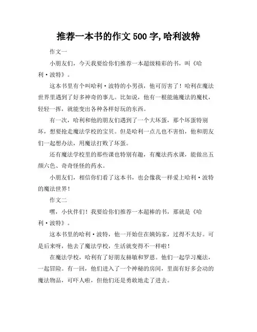 推荐一本书的作文500字,哈利波特