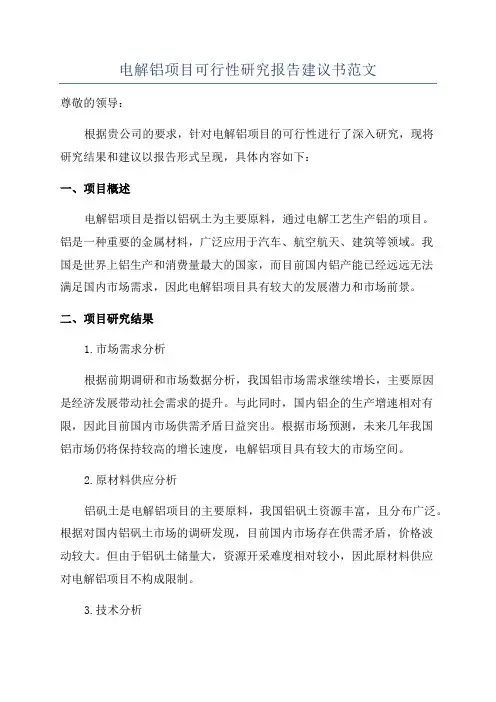 电解铝项目可行性研究报告建议书范文