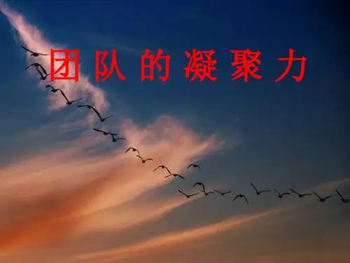 团队的凝聚力PPT