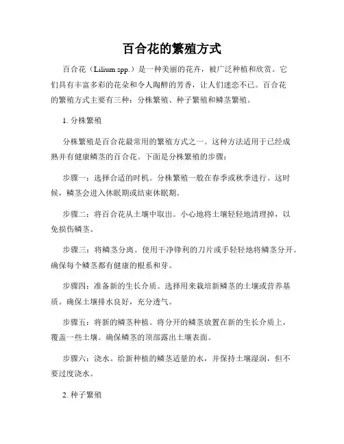 百合花的繁殖方式