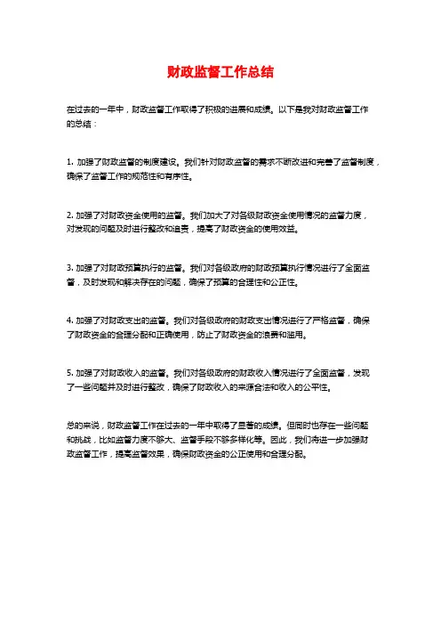 财政监督工作总结