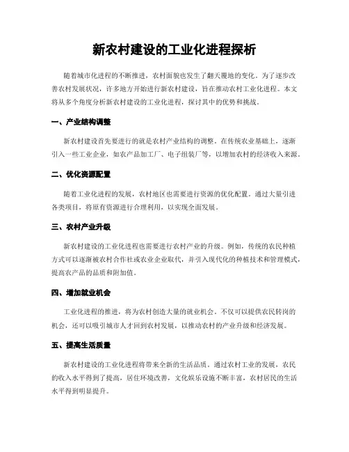 新农村建设的工业化进程探析