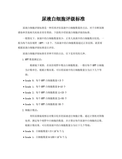 尿液白细胞评级标准
