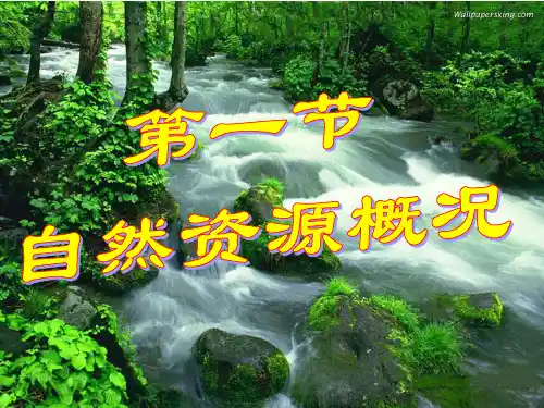 湘教版八年级上册 3.1 中国的自然资源概况 (共39张PPT)
