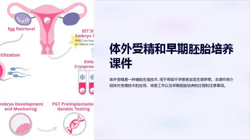 体外受精和早期胚胎培养课件