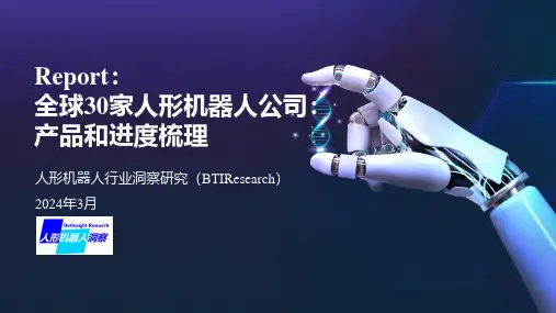 全球30家人形机器人公司产品和进度梳理 - 无水印版