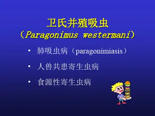 卫氏并殖吸虫Paragonimuswestermani