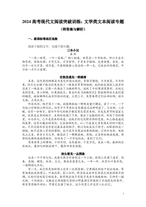 2024高考现代文阅读突破训练：文学类文本阅读专题(附答案与解析)