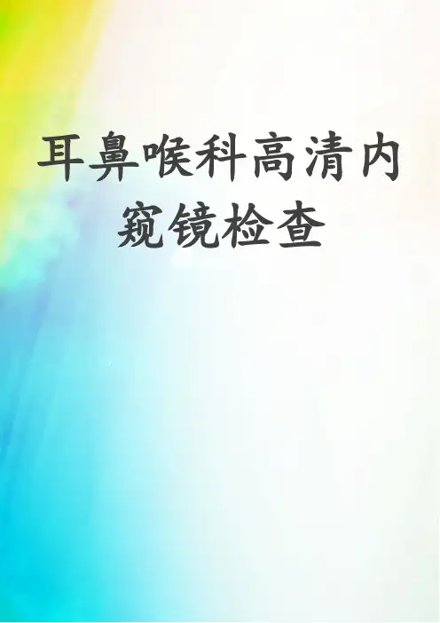 耳鼻喉科高清内窥镜检查