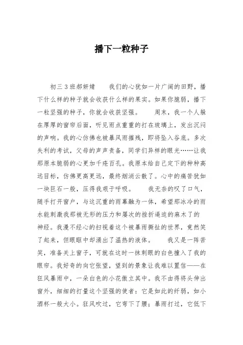 初中作文：播下一粒种子