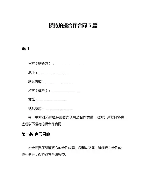 模特拍摄合作合同5篇