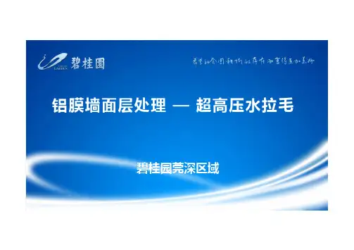 碧桂园SSGF铝模工法拉毛介绍