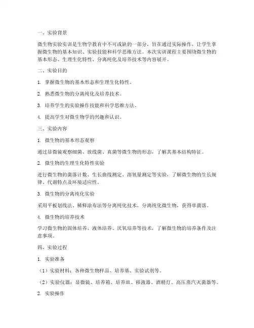 微生物实验实训报告总结