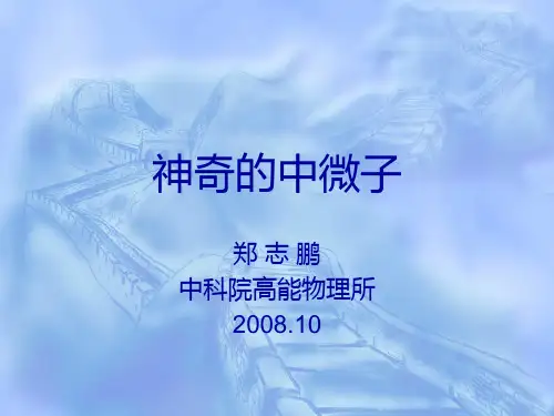 神奇的中微子