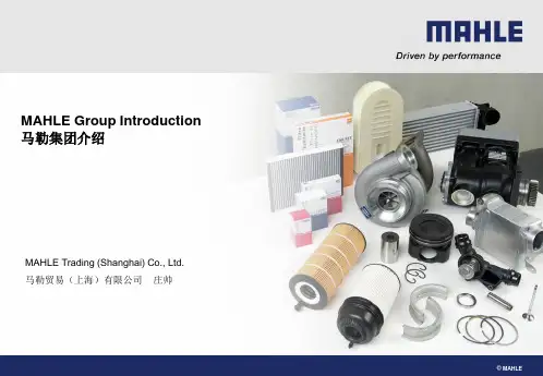 MAHLE+Group+Presentation_chris