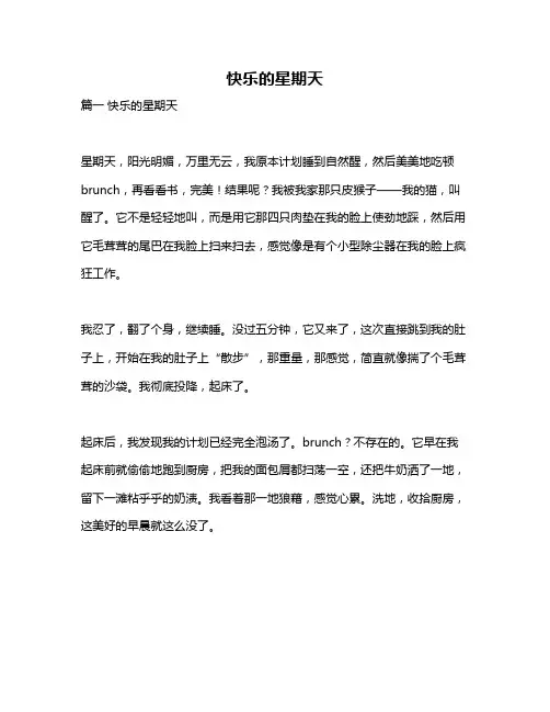 作文《快乐的星期天》