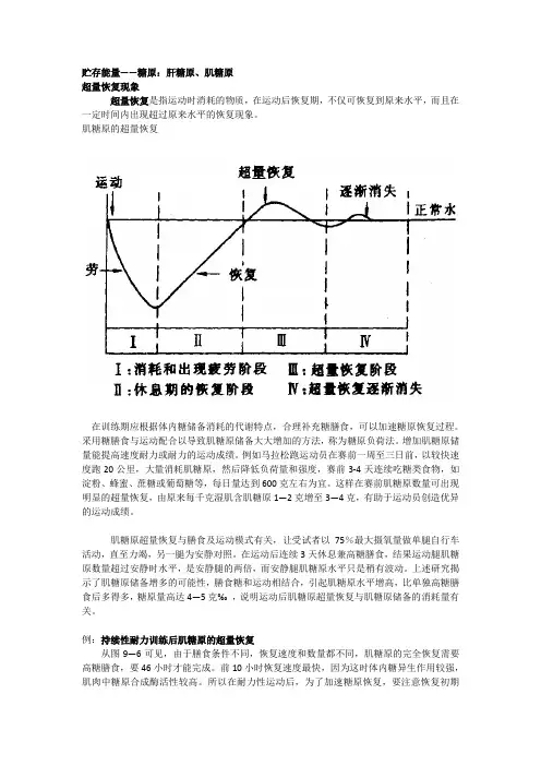 训练期间的超量恢复现象