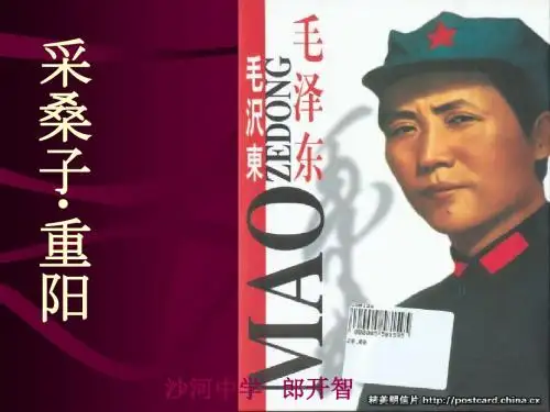 采桑子·重阳PPT课件29 北师大版 (共21张PPT)